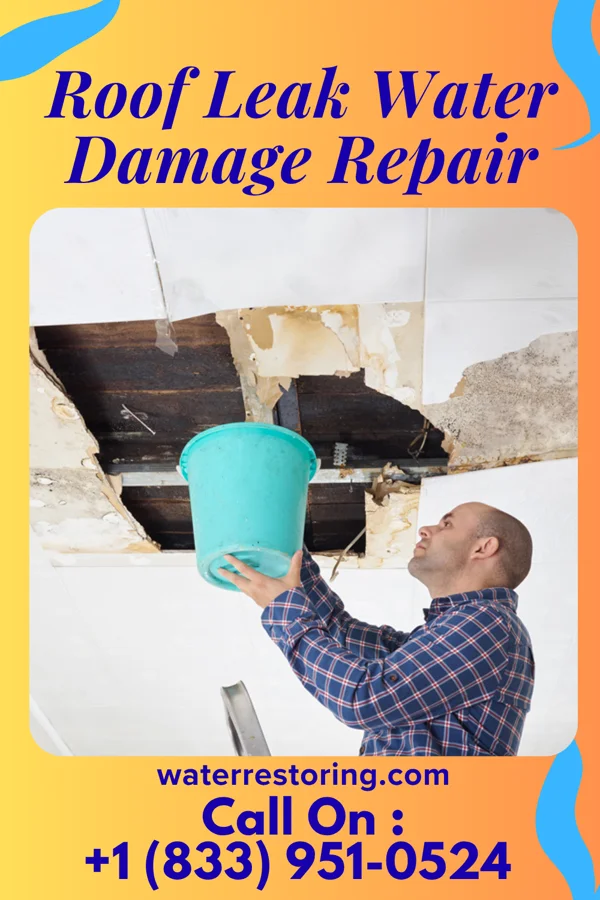 Roof Leak Water Damage Repair in Churchill, MT
